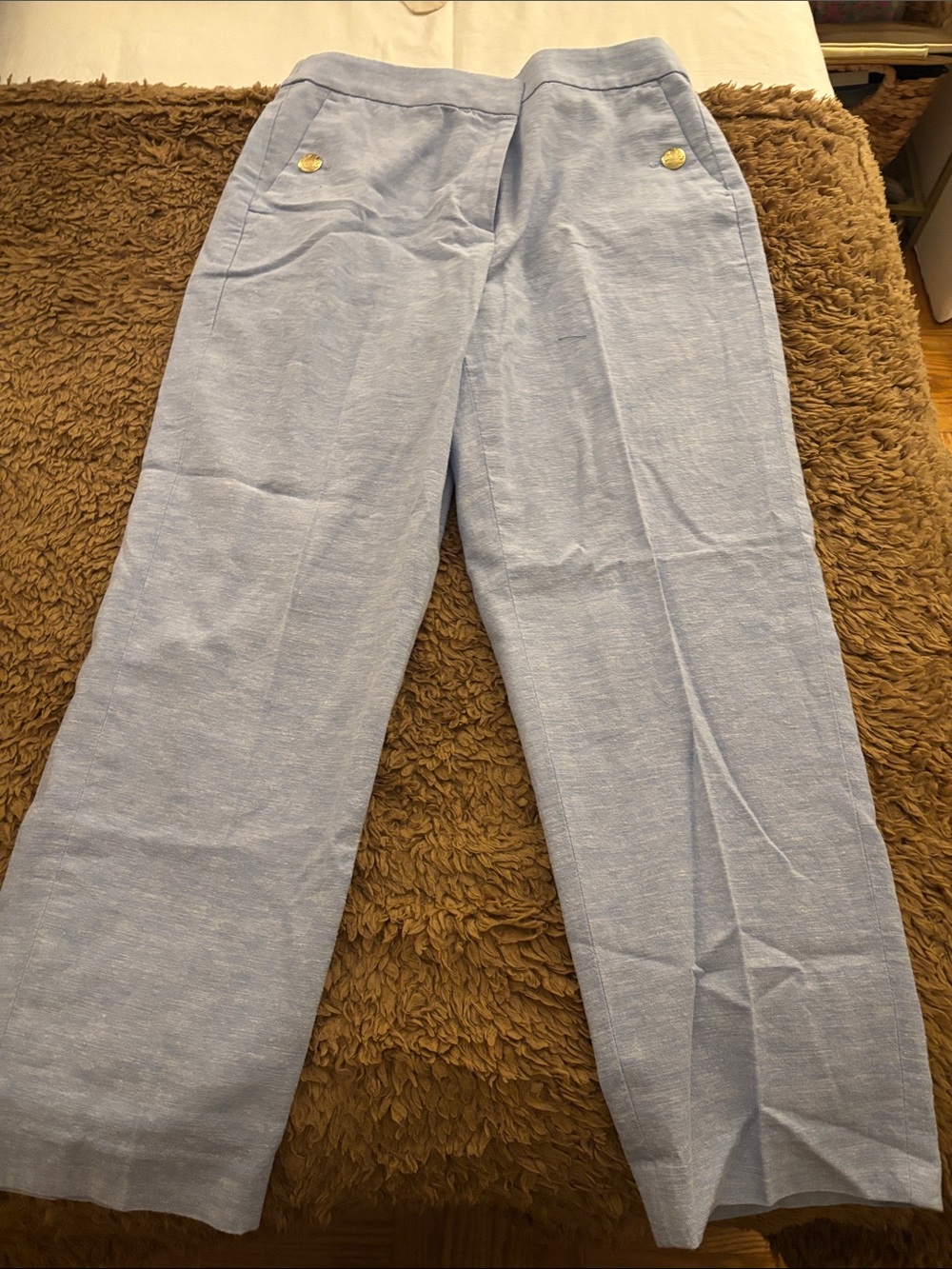 J.Crew factory light blue linen pants
